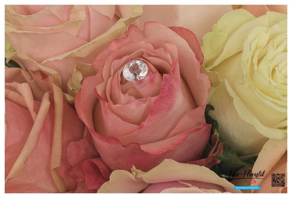 Ecuador Rose mit Perle - Detail