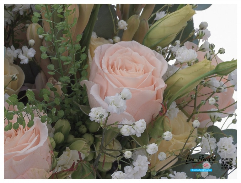 Polyantharose und Schleierkraut - Detail -