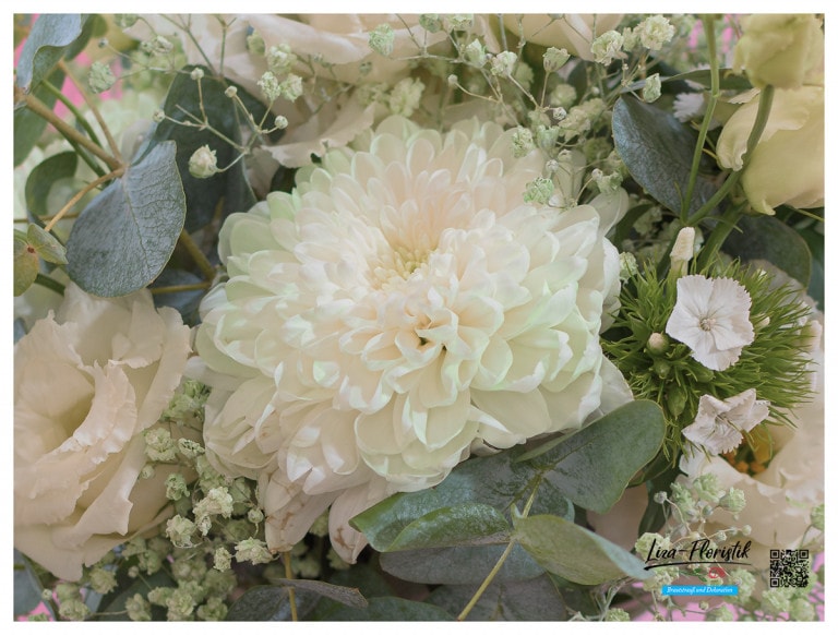 Chrysanthe und Bartnelke - Detail -