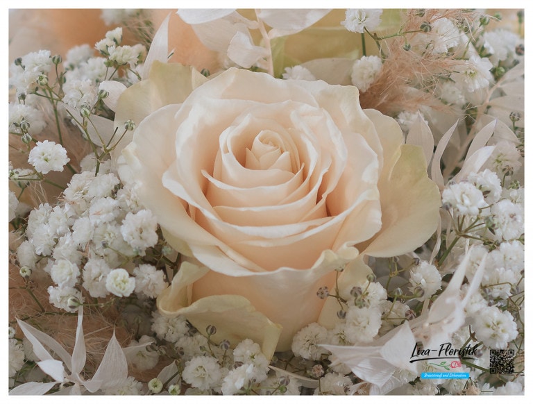Rose Mondial und Schleierkraut im Detail