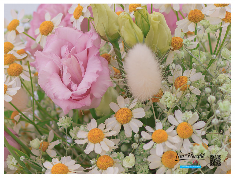 Kamille, Lisianthus und Lagurus im Detail