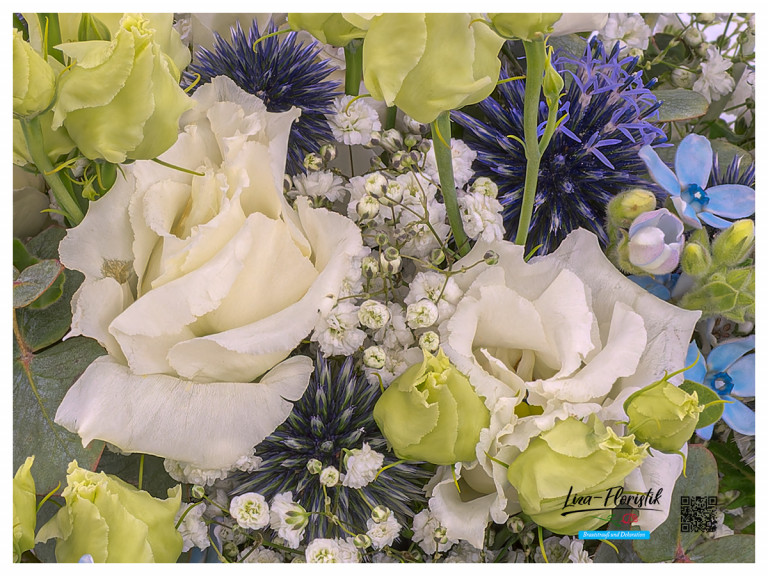 Oxypetalum, Lisianthus, Distel und Veronica im Detail