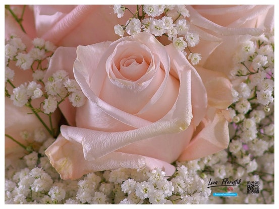 Brautbouquet - rosa Rosen und weißes Schleierkraut - Detail