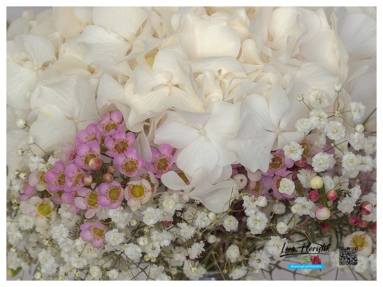 Wachsblumen, Hortensie und Schleierkraut - Detail