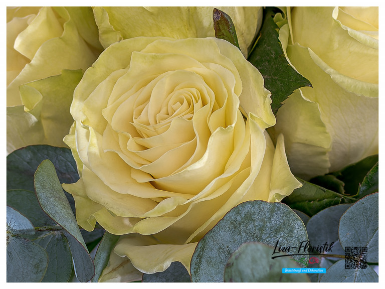 Ecuador Rose Mondial und Eukalyptus in einem gestaffelt gestalteten Brautstrauß