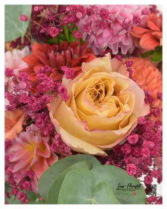 Ecuador Rose "Facination" im Detail mit pinkem Schleierkraut