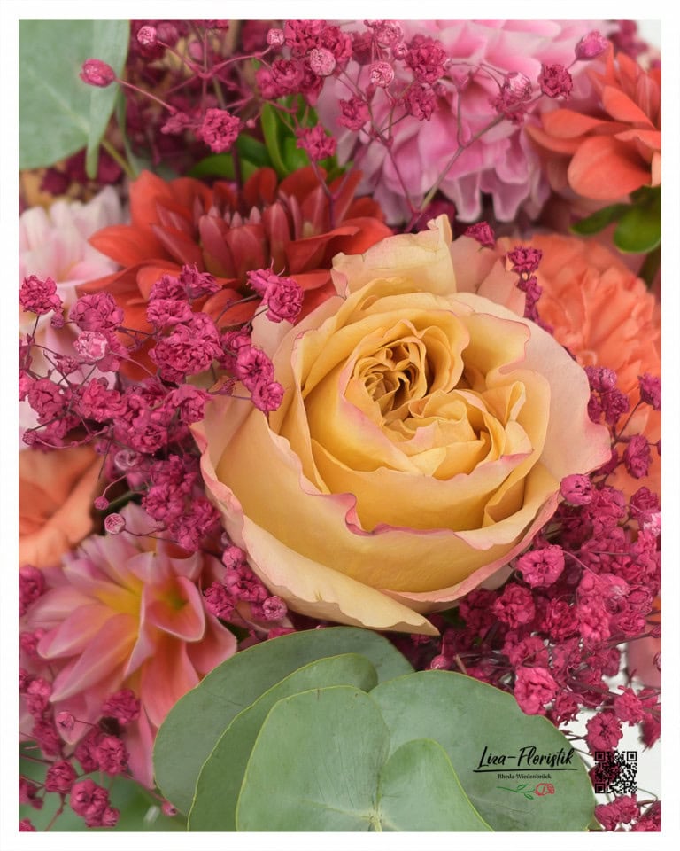 Ecuador Rose "Facination" im Detail mit pinkem Schleierkraut