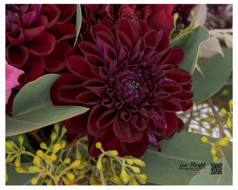 Burgunderfarbene Chrysantheme im Brautstrauß