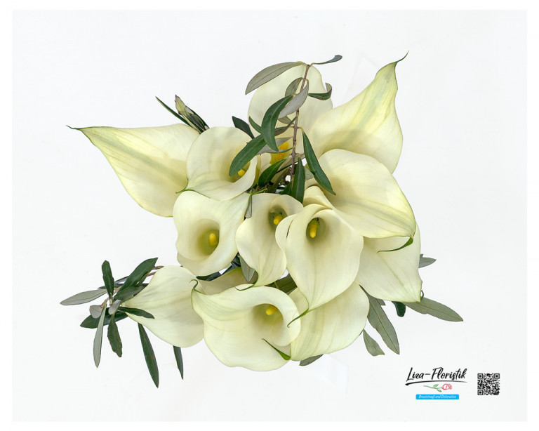 Draufsicht auf einen Brautstrauß mit edlen cremeweißen Calla und Olivenzweigen – modern, stilvoll und perfekt für eine elegante Hochzeit.