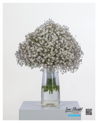 Brautstrauß aus weißem Schleierkraut, kugelförmig und dicht gebunden – ein luftiges, elegantes Arrangement für einen natürlichen und stilvollen Hochzeitslook.