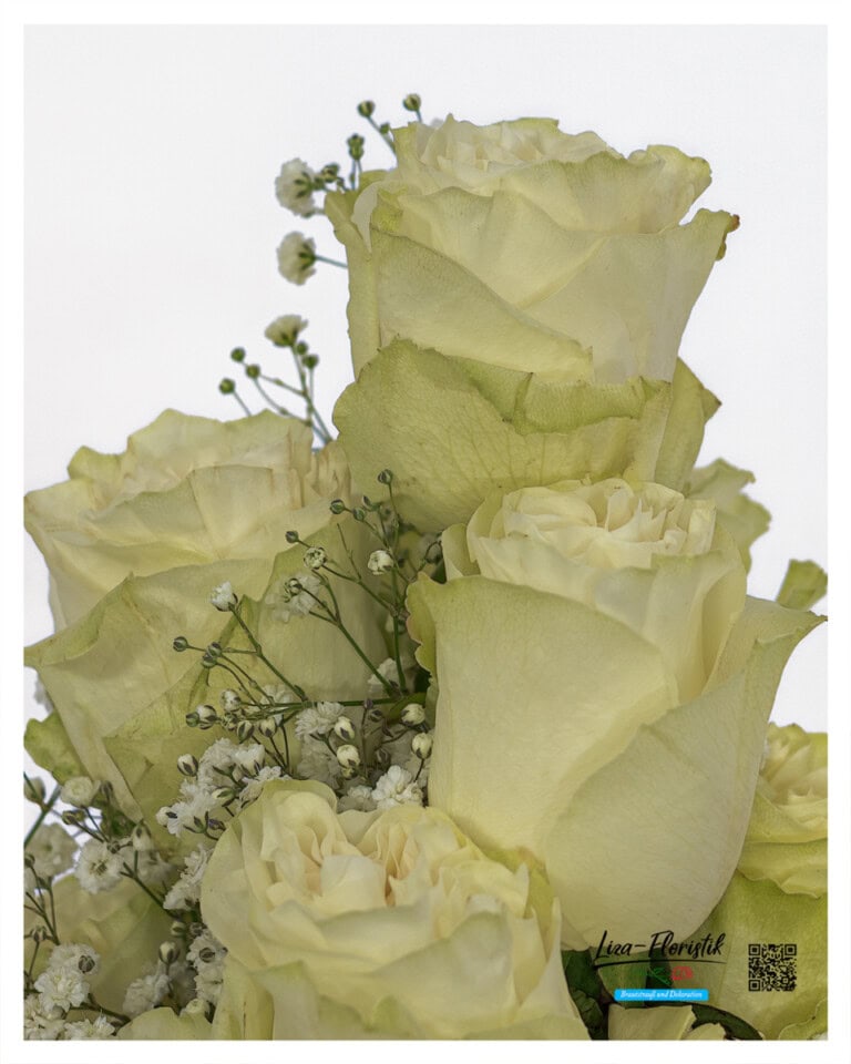 Diese Perspektive offenbart die Details: Jede Rosenblüte ist perfekt geformt, die cremefarbenen Nuancen spielen sanft ineinander. Das Schleierkraut setzt zarte, luftige Akzente zwischen den voluminösen Rosenköpfen